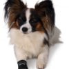 Trixie Walker Care Pfotenschutz-Stiefel - M – Bild 4